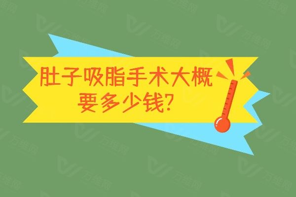 肚子吸脂手术大概要多少钱www.01www.com